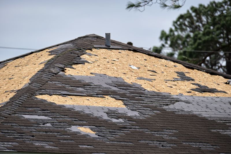 Damaged Shingle Repair
