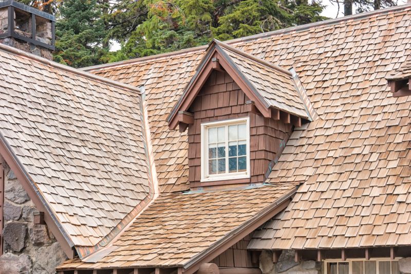 Cedar Roof Construction